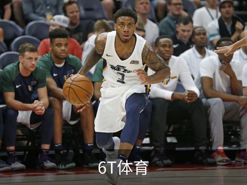 6T体育介绍